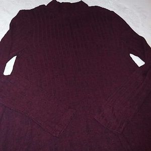 Mock Turtleneck Dress